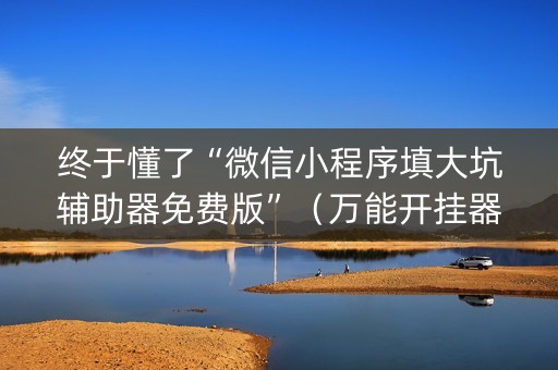 终于懂了“微信小程序填大坑辅助器免费版”（万能开挂器)