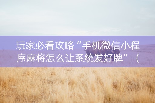 玩家必看攻略“手机微信小程序麻将怎么让系统发好牌”（辅牌器插件购买)
