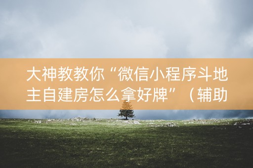 大神教教你“微信小程序斗地主自建房怎么拿好牌”（辅助器下载)