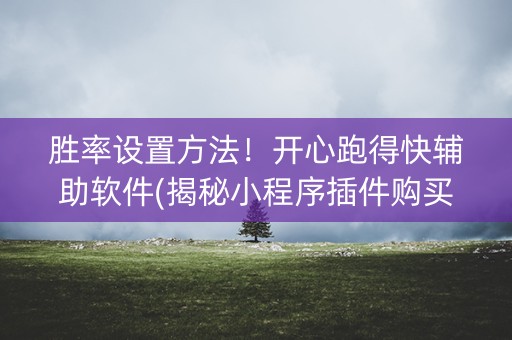 胜率设置方法！开心跑得快辅助软件(揭秘小程序插件购买)