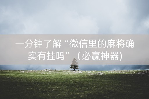 一分钟了解“微信里的麻将确实有挂吗”（必赢神器)