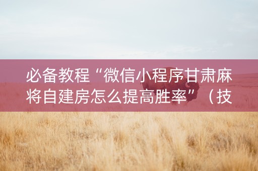 必备教程“微信小程序甘肃麻将自建房怎么提高胜率”（技巧和打好牌方法)