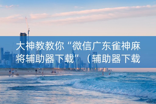 大神教教你“微信广东雀神麻将辅助器下载”（辅助器下载)