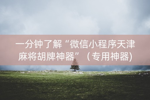 一分钟了解“微信小程序天津麻将胡牌神器”（专用神器)