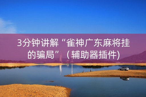 3分钟讲解“雀神广东麻将挂的骗局”（辅助器插件)