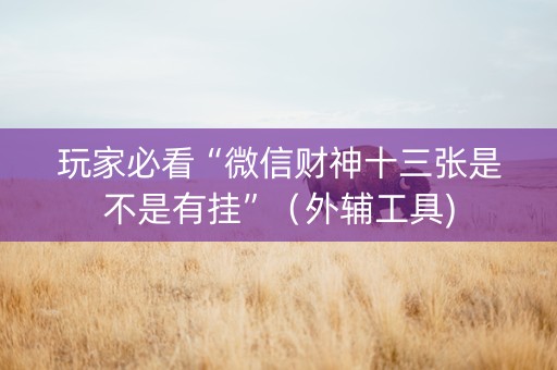 玩家必看“微信财神十三张是不是有挂”（外辅工具)
