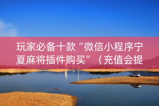 玩家必备十款“微信小程序宁夏麻将插件购买”（充值会提高胜率么)