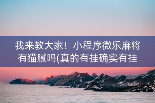 我来教大家！小程序微乐麻将有猫腻吗(真的有挂确实有挂)