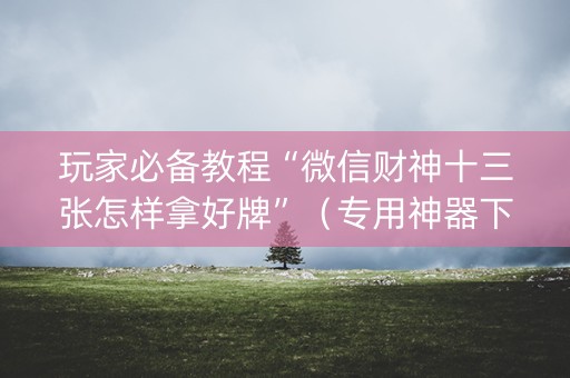 玩家必备教程“微信财神十三张怎样拿好牌”（专用神器下载)