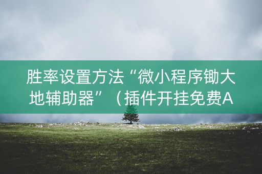 胜率设置方法“微小程序锄大地辅助器”（插件开挂免费AI)
