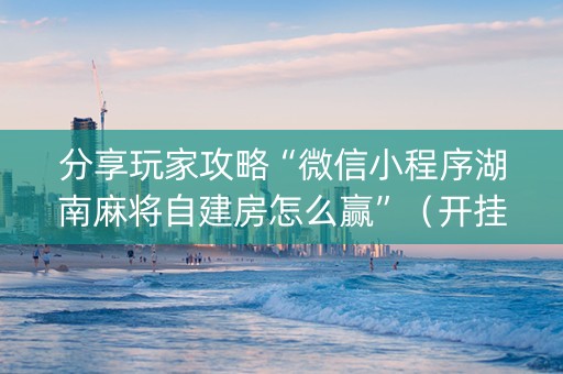 分享玩家攻略“微信小程序湖南麻将自建房怎么赢”（开挂辅助器插件)