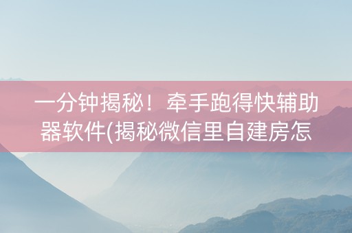 一分钟揭秘！牵手跑得快辅助器软件(揭秘微信里自建房怎么赢)