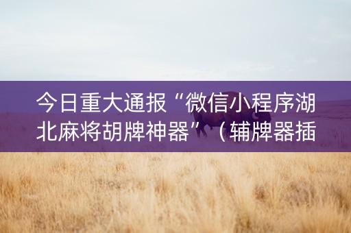今日重大通报“微信小程序湖北麻将胡牌神器”（辅牌器插件购买)