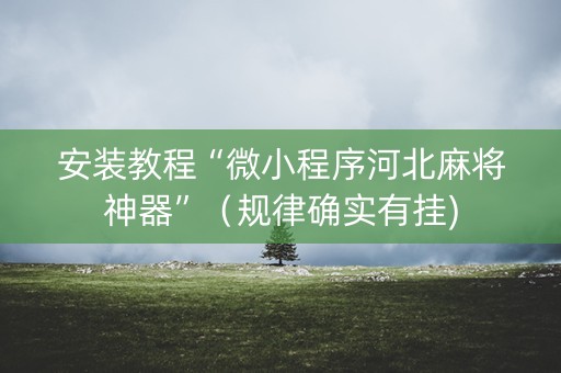 安装教程“微小程序河北麻将神器”（规律确实有挂)