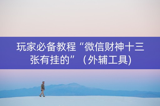 玩家必备教程“微信财神十三张有挂的”（外辅工具)