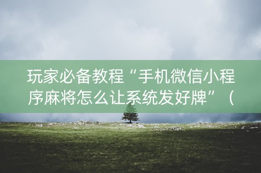 玩家必备教程“手机微信小程序麻将怎么让系统发好牌”（装挂怎么安装)