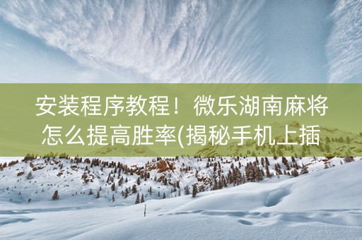 安装程序教程！微乐湖南麻将怎么提高胜率(揭秘手机上插件下载)