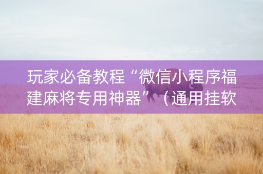 玩家必备教程“微信小程序福建麻将专用神器”（通用挂软件多少钱)