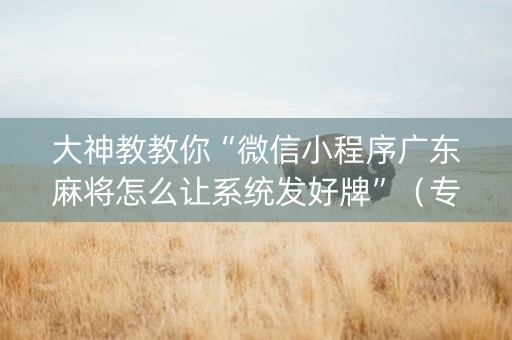 大神教教你“微信小程序广东麻将怎么让系统发好牌”（专用神器)