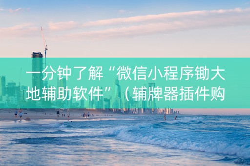 一分钟了解“微信小程序锄大地辅助软件”（辅牌器插件购买)