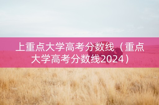 上重点大学高考分数线（重点大学高考分数线2024）