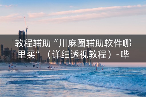 教程辅助“川麻圈辅助软件哪里买”（详细透视教程）-哔哩哔哩