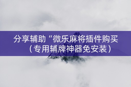 分享辅助“微乐麻将插件购买（专用辅牌神器免安装）