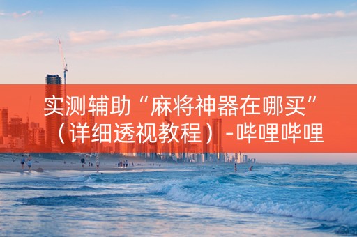实测辅助“麻将神器在哪买”（详细透视教程）-哔哩哔哩
