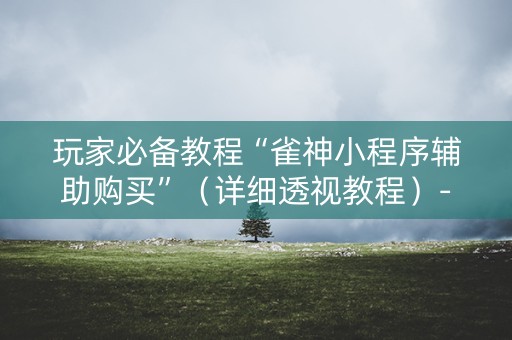 玩家必备教程“雀神小程序辅助购买”（详细透视教程）-哔哩哔哩