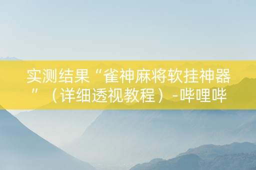 实测结果“雀神麻将软挂神器”（详细透视教程）-哔哩哔哩