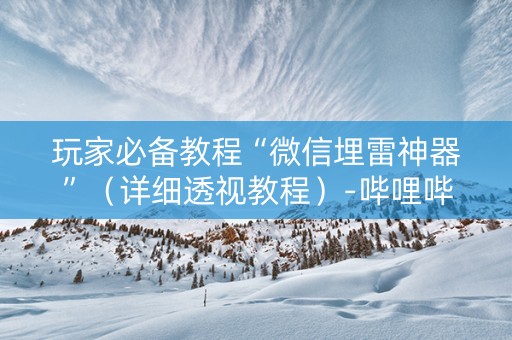 玩家必备教程“微信埋雷神器”（详细透视教程）-哔哩哔哩