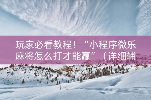 玩家必看教程！“小程序微乐麻将怎么打才能赢”（详细辅助教程）-哔哩哔哩