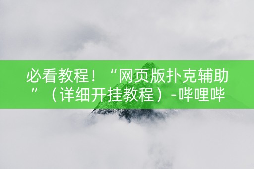 必看教程！“网页版扑克辅助”（详细开挂教程）-哔哩哔哩