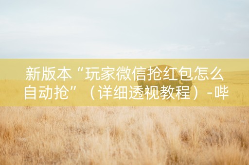 新版本“玩家微信抢红包怎么自动抢”（详细透视教程）-哔哩哔哩