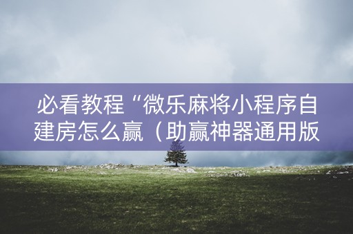 必看教程“微乐麻将小程序自建房怎么赢（助赢神器通用版）