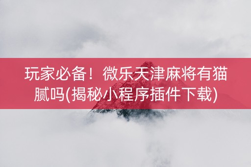 玩家必备！微乐天津麻将有猫腻吗(揭秘小程序插件下载)