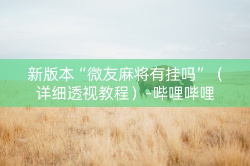新版本“微友麻将有挂吗”（详细透视教程）-哔哩哔哩