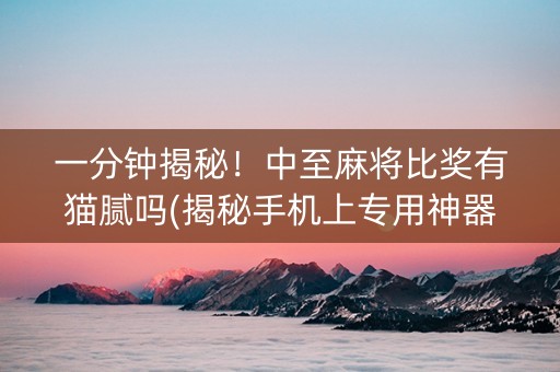 一分钟揭秘！中至麻将比奖有猫腻吗(揭秘手机上专用神器)
