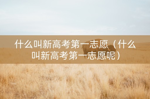 什么叫新高考第一志愿（什么叫新高考第一志愿呢）