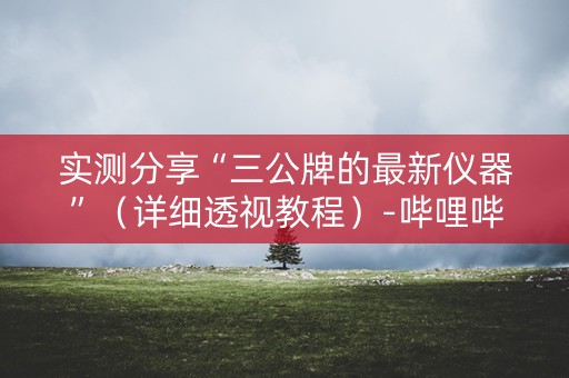 实测分享“三公牌的最新仪器”（详细透视教程）-哔哩哔哩