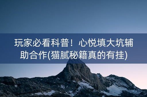 玩家必看科普！心悦填大坑辅助合作(猫腻秘籍真的有挂)