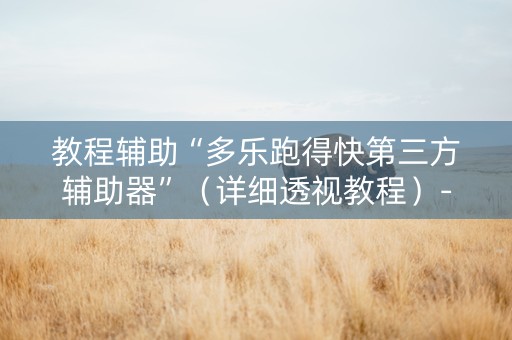 教程辅助“多乐跑得快第三方辅助器”（详细透视教程）-哔哩哔哩