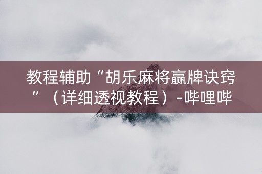 教程辅助“胡乐麻将赢牌诀窍”（详细透视教程）-哔哩哔哩