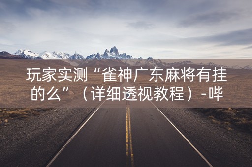 玩家实测“雀神广东麻将有挂的么”（详细透视教程）-哔哩哔哩