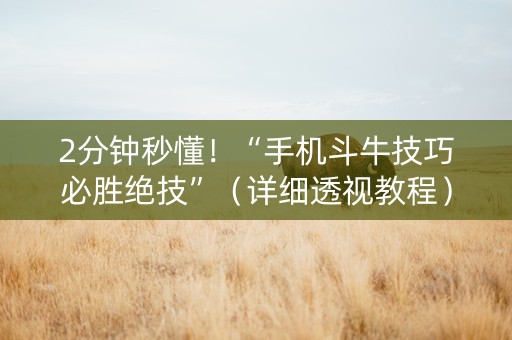 2分钟秒懂！“手机斗牛技巧必胜绝技”（详细透视教程）-哔哩哔哩