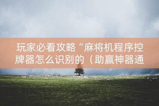 玩家必看攻略“麻将机程序控牌器怎么识别的（助赢神器通用版）