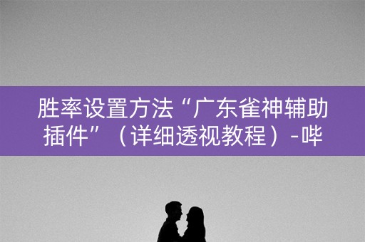胜率设置方法“广东雀神辅助插件”（详细透视教程）-哔哩哔哩