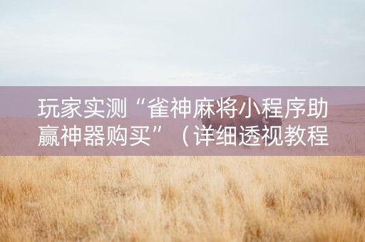 玩家实测“雀神麻将小程序助赢神器购买”（详细透视教程）-哔哩哔哩