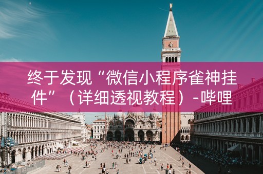 终于发现“微信小程序雀神挂件”（详细透视教程）-哔哩哔哩