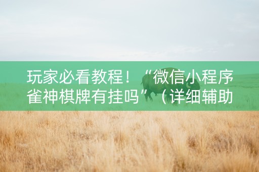 玩家必看教程！“微信小程序雀神棋牌有挂吗”（详细辅助教程）-哔哩哔哩
